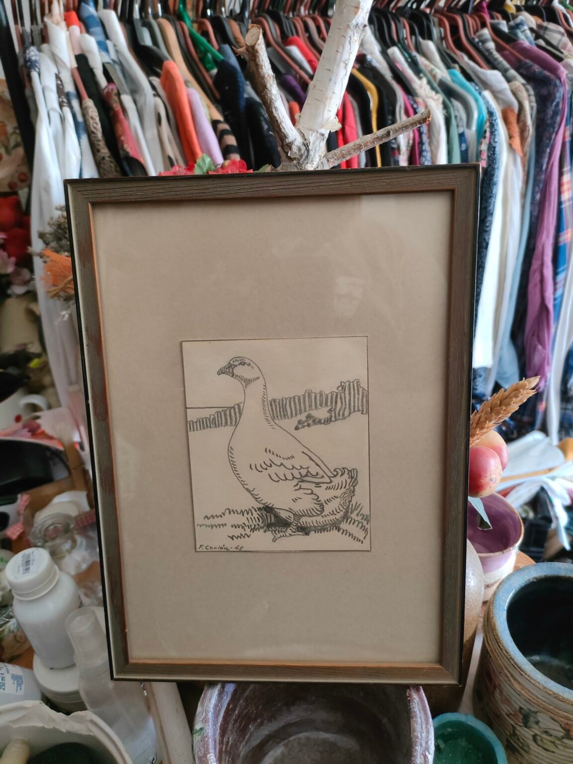 Патица графика